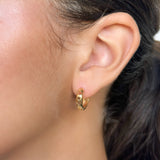 Clover Hoops